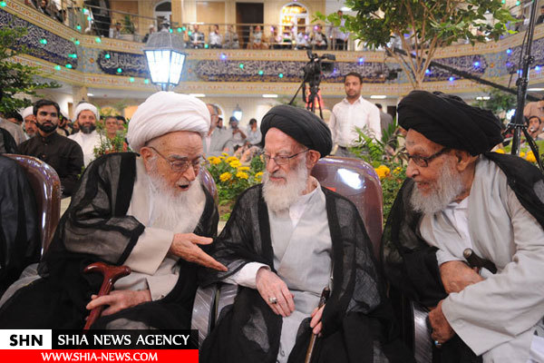 آیت الله العظمی شبیری زنجانی به روایت تصویر