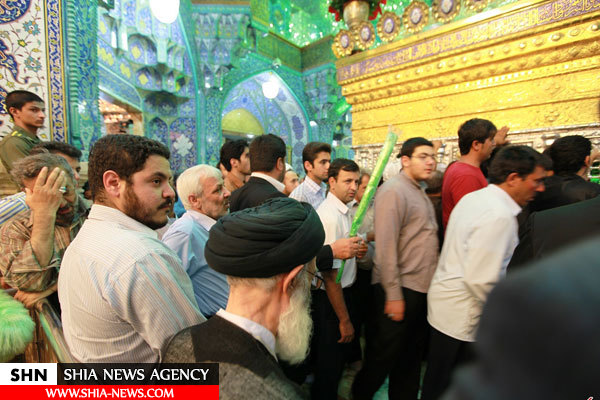 آیت الله العظمی شبیری زنجانی به روایت تصویر