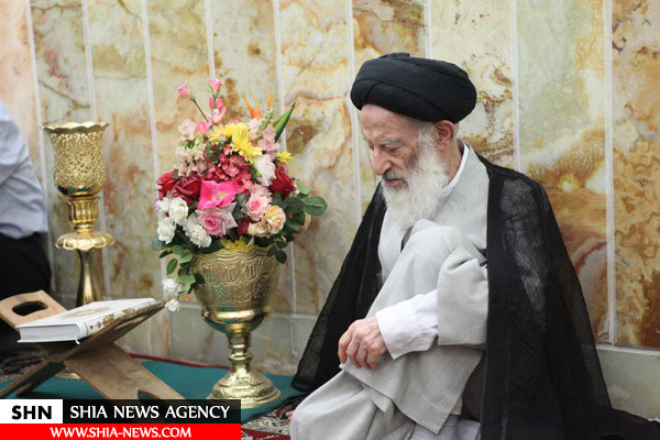 آیت الله العظمی شبیری زنجانی به روایت تصویر