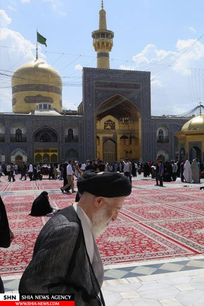 آیت الله العظمی شبیری زنجانی به روایت تصویر