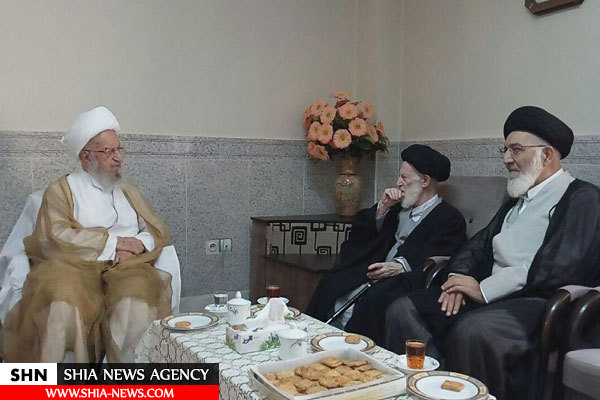 آیت الله العظمی شبیری زنجانی به روایت تصویر