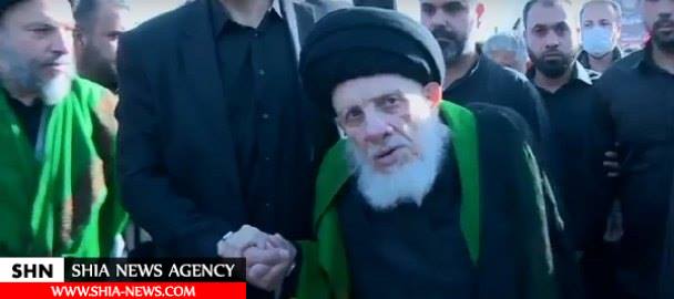 سخنان حضرات آیات عظام نجفی و حکیم در راهپیمایی اربعین+ تصاویر