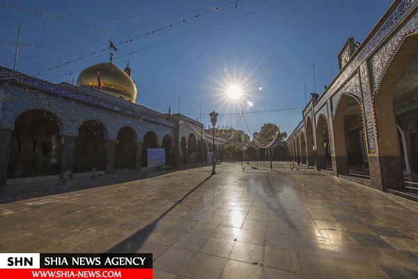 تصاویری زیبا و جذاب از حرم حضرت زینب کبری (س)