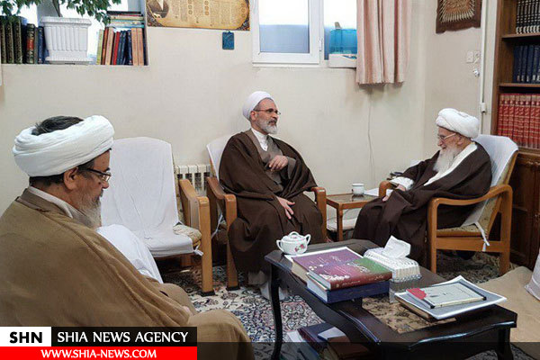 تصاویر دیدار مدیر حوزه های علمیه با آیت الله العظمی صافی گلپایگانی