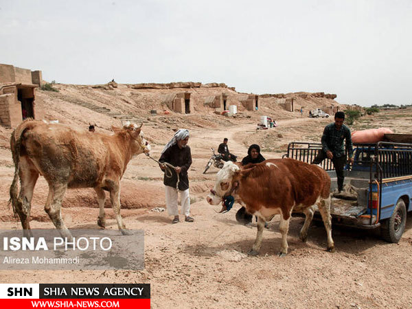 تصاویر پناهگاه سیل زدگان در تپه‌های حمیدیه
