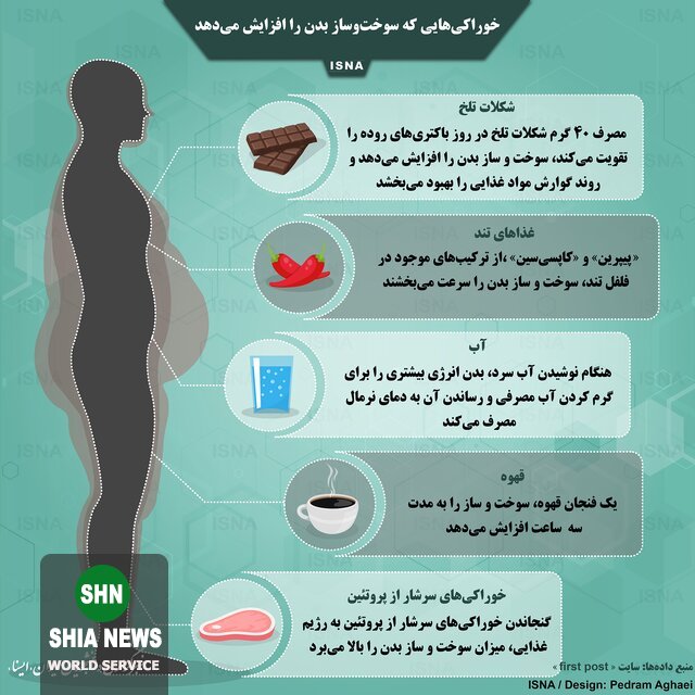 خوراکیهایی که سوختوساز بدن را افزایش میدهد خوراکیهایی که سوختوساز بدن را افزایش میدهد