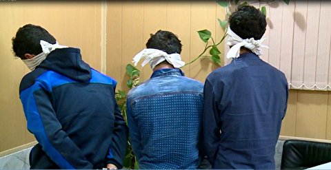 بازداشت باندی با بیش از ۲۵۰ فقره سرقت بازداشت باندی با بیش از ۲۵۰ فقره سرقت