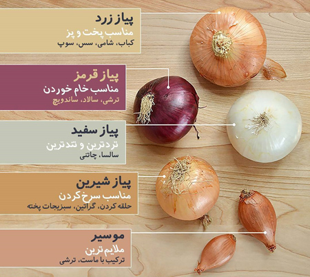انواع پیاز و کاربردشان در آشپزی انواع پیاز و کاربردشان در آشپزی