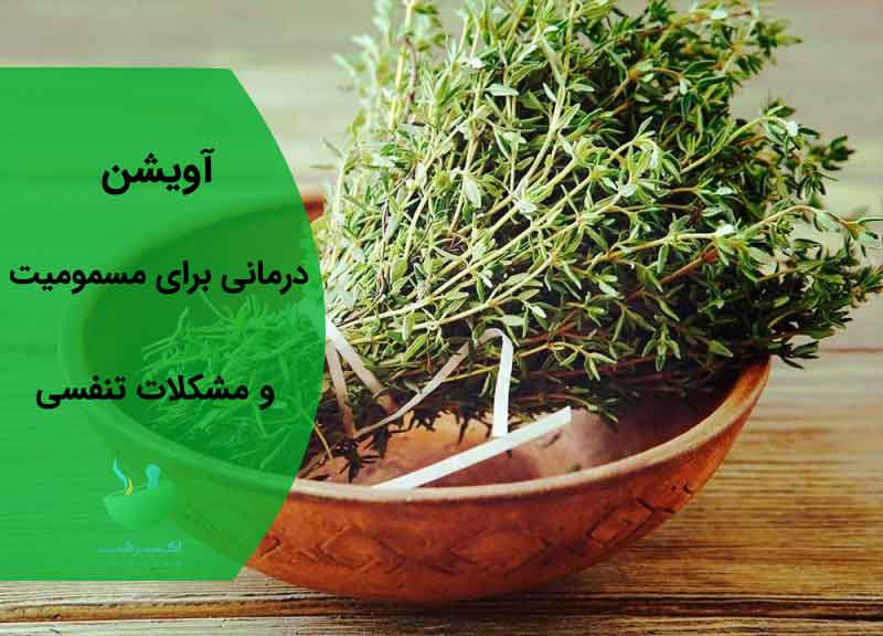 با گیاهان دارویی و خواص آنها بیشتر آشنا شوید با گیاهان دارویی و خواص آنها بیشتر آشنا شوید