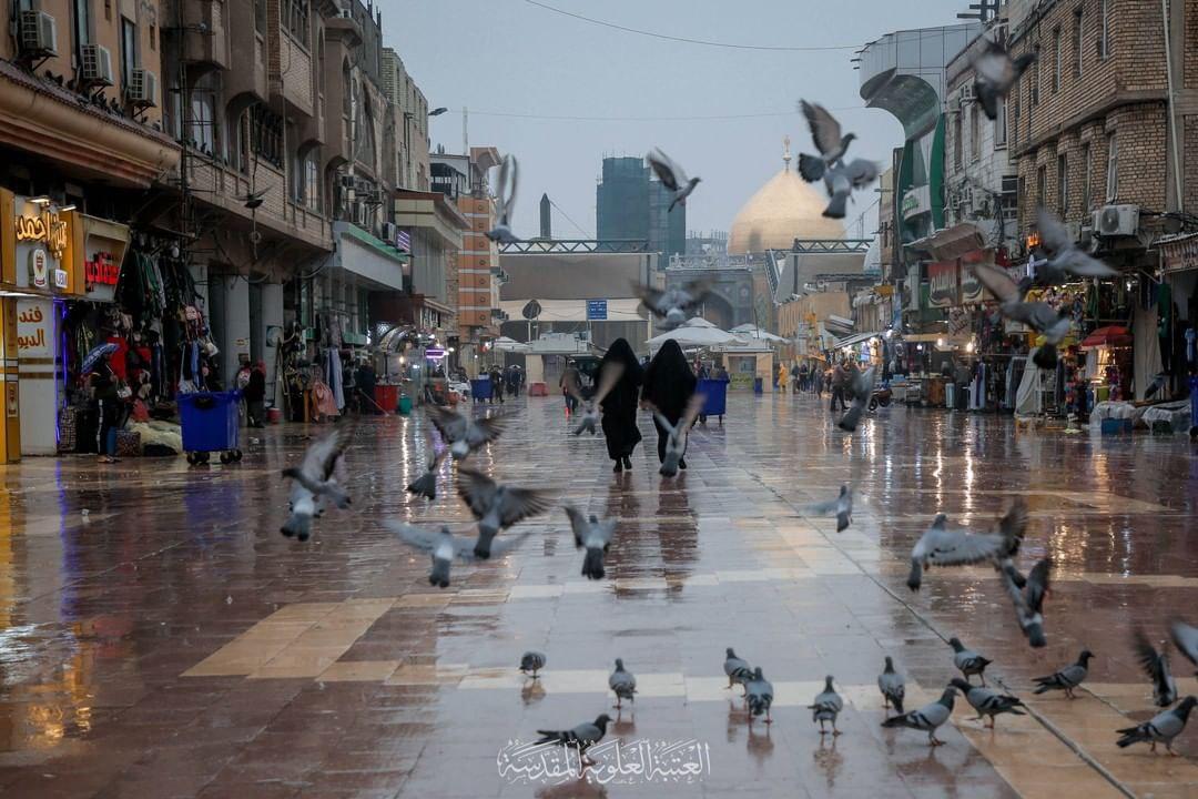 لحظه نزول رحمت الهی در صحن و سرای حرم امیرالمومنین (ع) لحظه نزول رحمت الهی در صحن و سرای حرم امیرالمومنین (ع)
