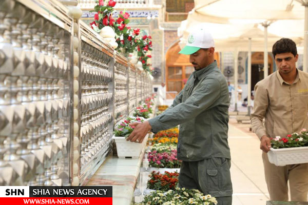 حرم امیرالمومنین (ع) با ۶هزار گل و پارچه های سبز تزئین شد حرم امیرالمومنین (ع) با ۶هزار گل و پارچه های سبز تزئین شد