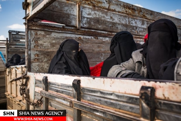 همه‌چیز درباره مدیر حرم‌سرای البغدادی/