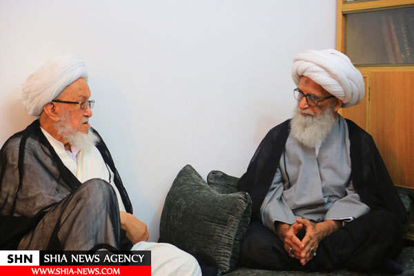 آیت الله فیاض با مراجع دیدار کرد+ تصاویر