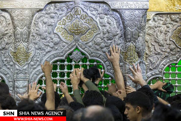 تصاویر احیای شب نوزدهم رمضان در کربلا