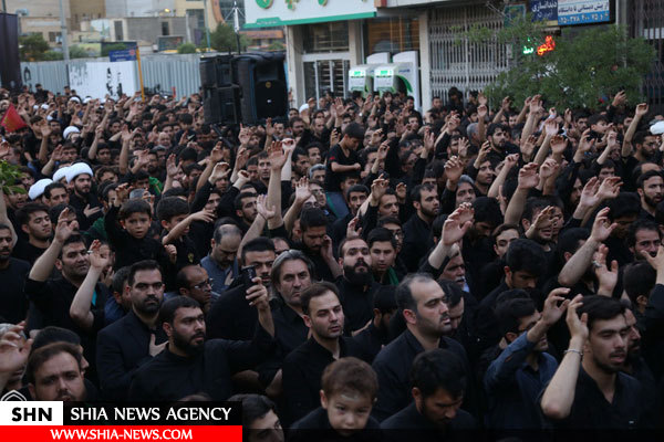 تصاویر/ دسته عزاداری شهادت امام علی(ع) با حضور آیت الله وحید خراسانی