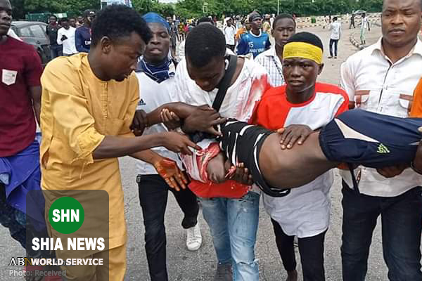 اعلام هویت دو شیعه به شهادت رسیده در تیراندازی نظامیان نیجریه