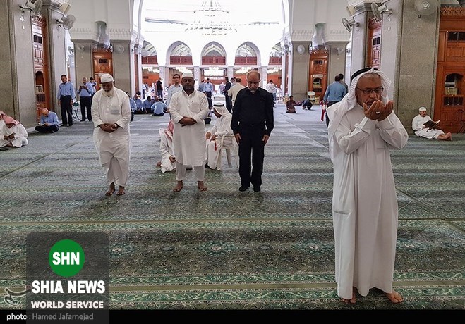 زیارت دوره زائران ایرانی در مدینه منوره