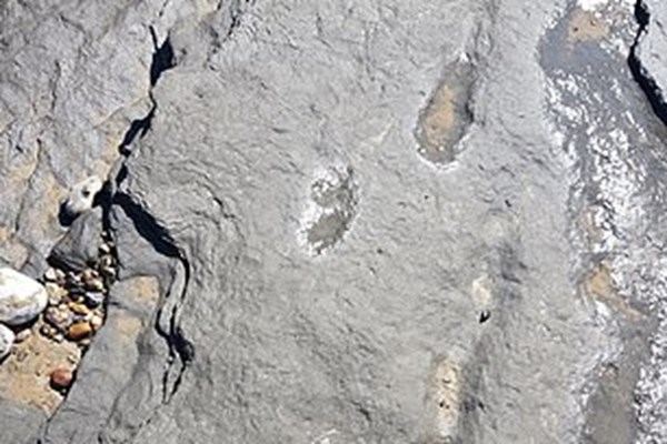 ردپای 950 هزار ساله انسان کشف شد+تصاویر