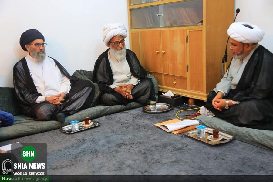 رهبر شیعیان پاکستان با آیت الله بشیر نجفی دیدار کرد