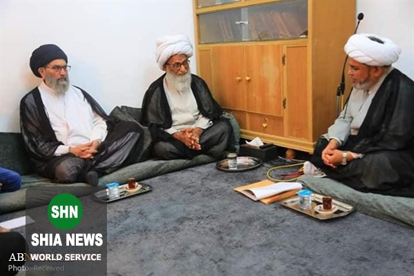 سفر سید ساجد نقوی به عراق و دیدار با مراجع تقلید
