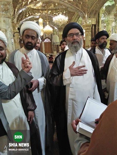 سفر سید ساجد نقوی به عراق و دیدار با مراجع تقلید