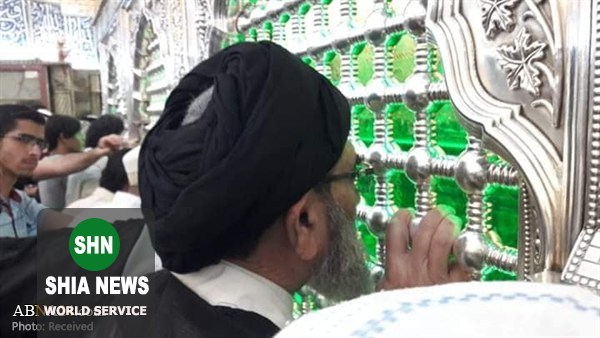 سفر سید ساجد نقوی به عراق و دیدار با مراجع تقلید