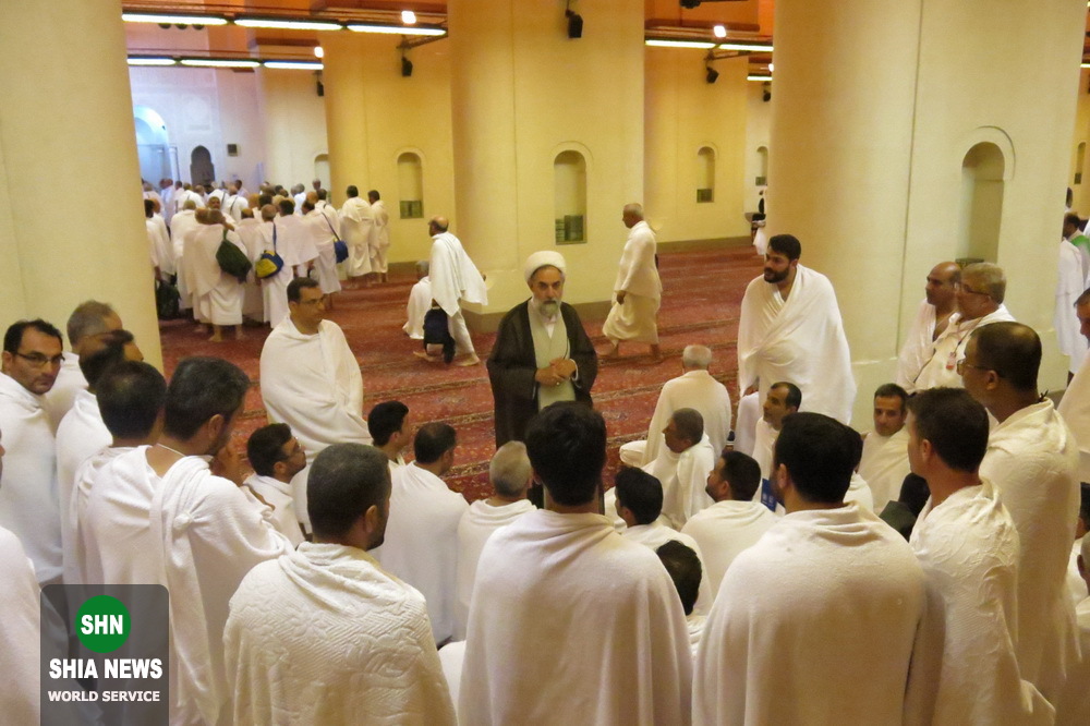 تصاویری از زائران خانه خدا در مسجد شجره