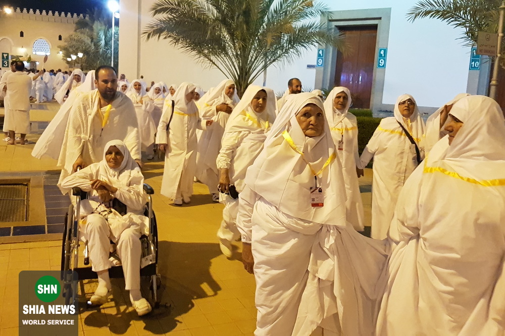 تصاویری از زائران خانه خدا در مسجد شجره