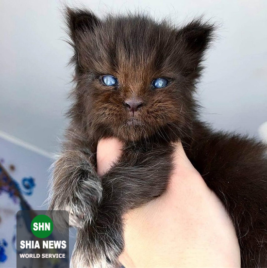 عجیب و جالبترین پدیده&zwnj;های جهان که شگفت&zwnj;زده&zwnj;تان می&zwnj;کند + تصاویر