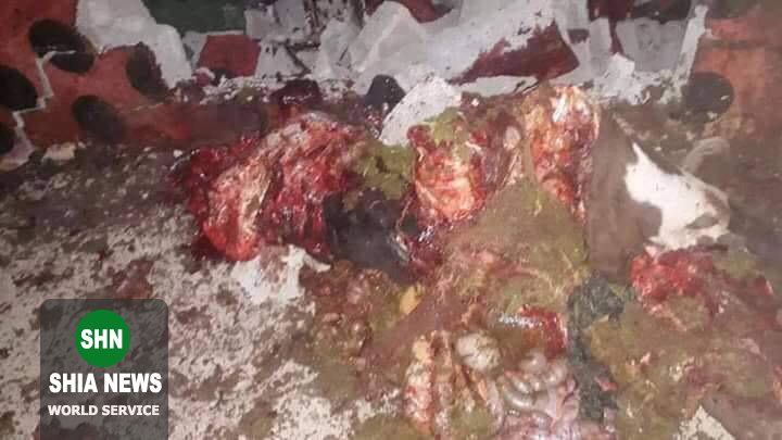 گاو بمب&zwnj;گذاری شده، سلاح عجیب و غریب داعش