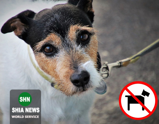 کار&zwnj;هایی که در کشور&zwnj;های مختلف بی&zwnj;ادبی به حساب می&zwnj;آید