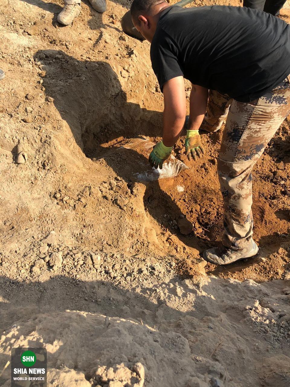 طرح داعش برای حمله به زائران اربعین خنثی شد