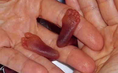 عجیب&zwnj;ترین کودکان دنیا+ تصاویر