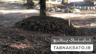 خودکشی کودک سوری در ترکیه به دلیل نژادپرستی خودکشی کودک سوری در ترکیه به دلیل نژادپرستی