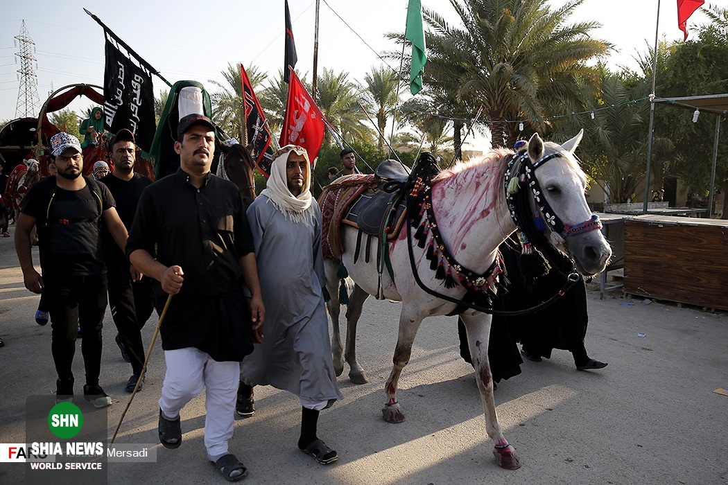 بغداد به کربلا