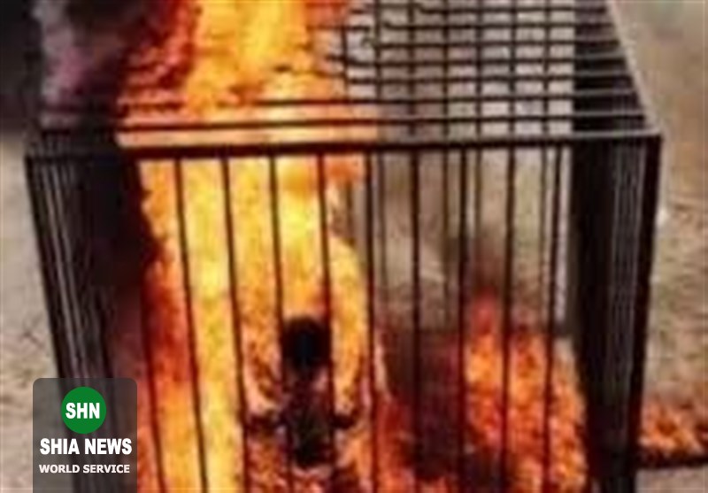 گزارشی از وحشتناک&zwnj;ترین جنایات ابوبکر البغدادی