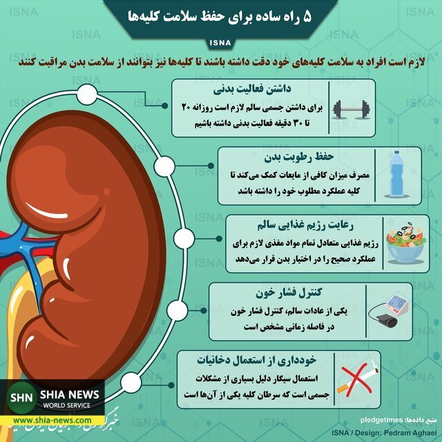 پنج راه ساده برای حفظ سلامت کلیهها پنج راه ساده برای حفظ سلامت کلیهها