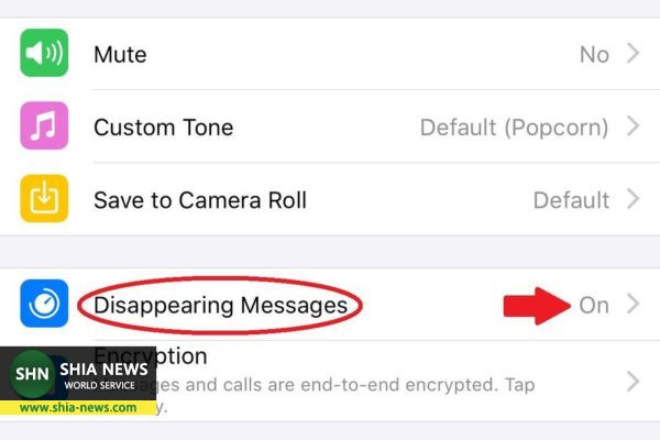 9 ترفند کاربردی در واتساپ از حذف خودکار پیام تا تنظیم پس زمینه برای چت‌ها