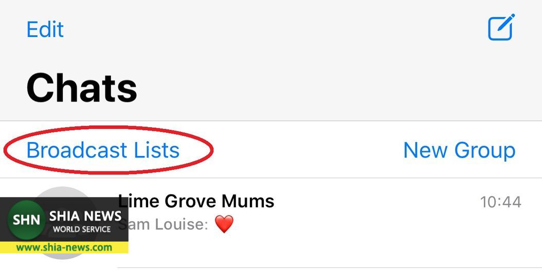 9 ترفند کاربردی در واتساپ از حذف خودکار پیام تا تنظیم پس زمینه برای چت&zwnj;ها