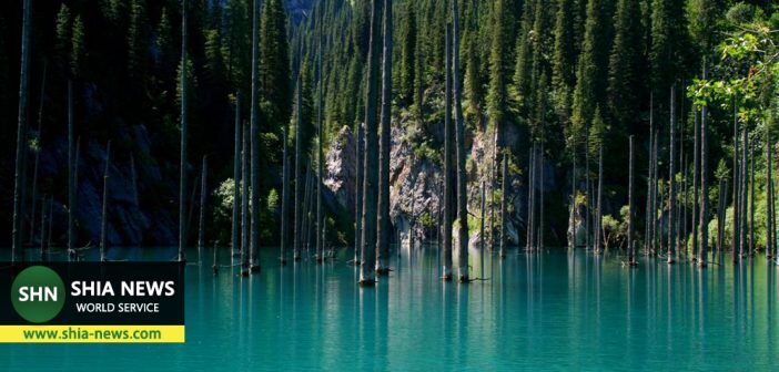عجیب ترین دریاچه جهان جنگلی در زیر آبها