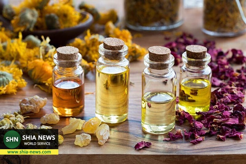 لبهایتان را گیاهی خوش فرم کنید لبهایتان را گیاهی خوش فرم کنید