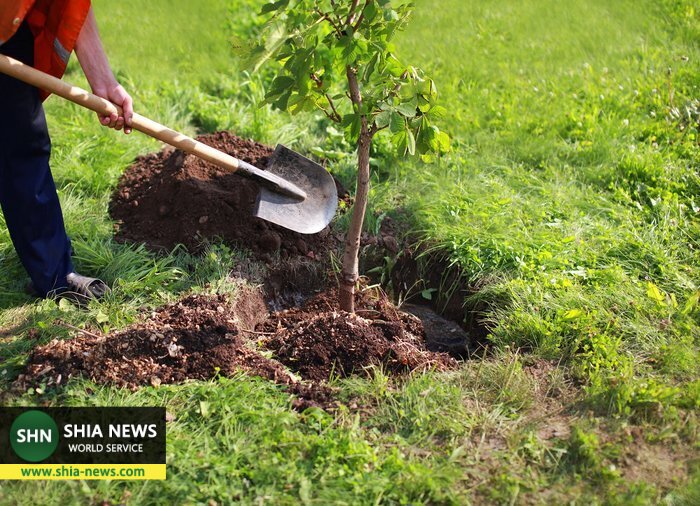 ثواب درختکاری در قرآن و روایات اهل بیت(ع)