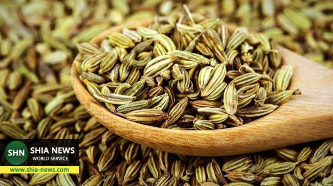 ۱۳ روش طبیعی افزایش شیر مادر ۱۳ روش طبیعی افزایش شیر مادر
