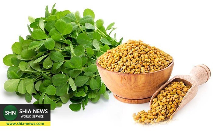 ۱۳ روش طبیعی افزایش شیر مادر ۱۳ روش طبیعی افزایش شیر مادر