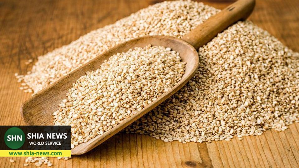 خاصیتهای باورنکردنی دانههای کنجد برای سلامتی خاصیتهای باورنکردنی دانههای کنجد برای سلامتی