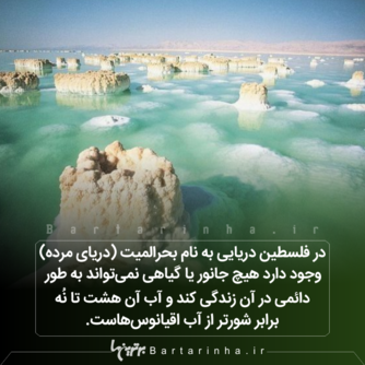 دانستنی&zwnj;های جالب و خواندنی کوتاه از سراسر دنیا