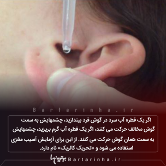 دانستنی&zwnj;های جالب و خواندنی کوتاه از سراسر دنیا