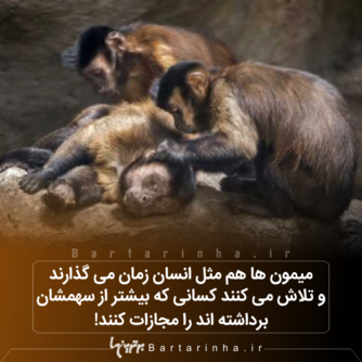 دانستنی&zwnj;های جالب و خواندنی کوتاه از سراسر دنیا