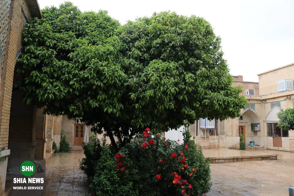 مدرسه علمیه ای در شیراز با قریب ۶ قرن قدمت مدرسه علمیه ای در شیراز با قریب ۶ قرن قدمت