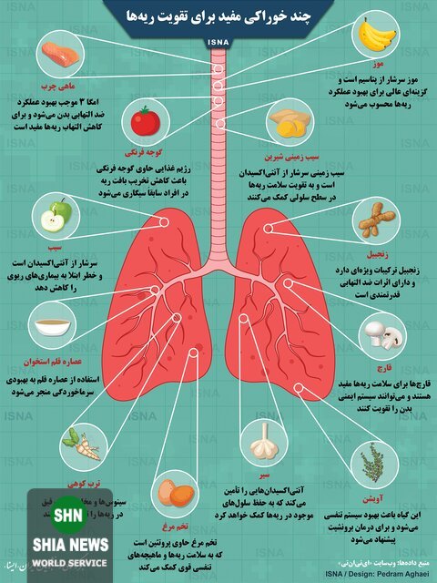 چند خوراکی مفید برای تقویت ریه‌ها